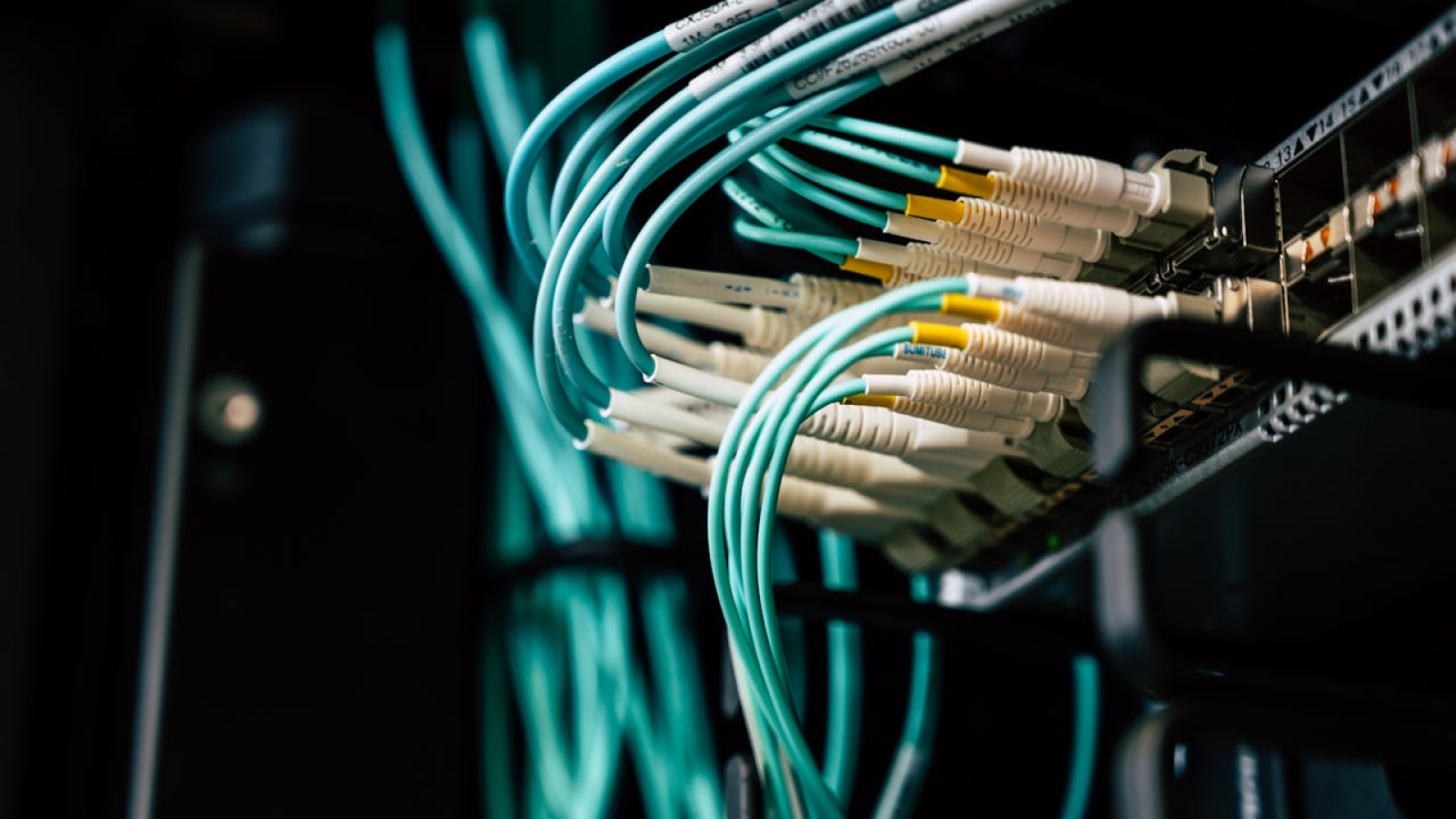 pexels-brett-sayles-2881229